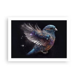 Pôster - Pardal de diamante - 70x50 cm