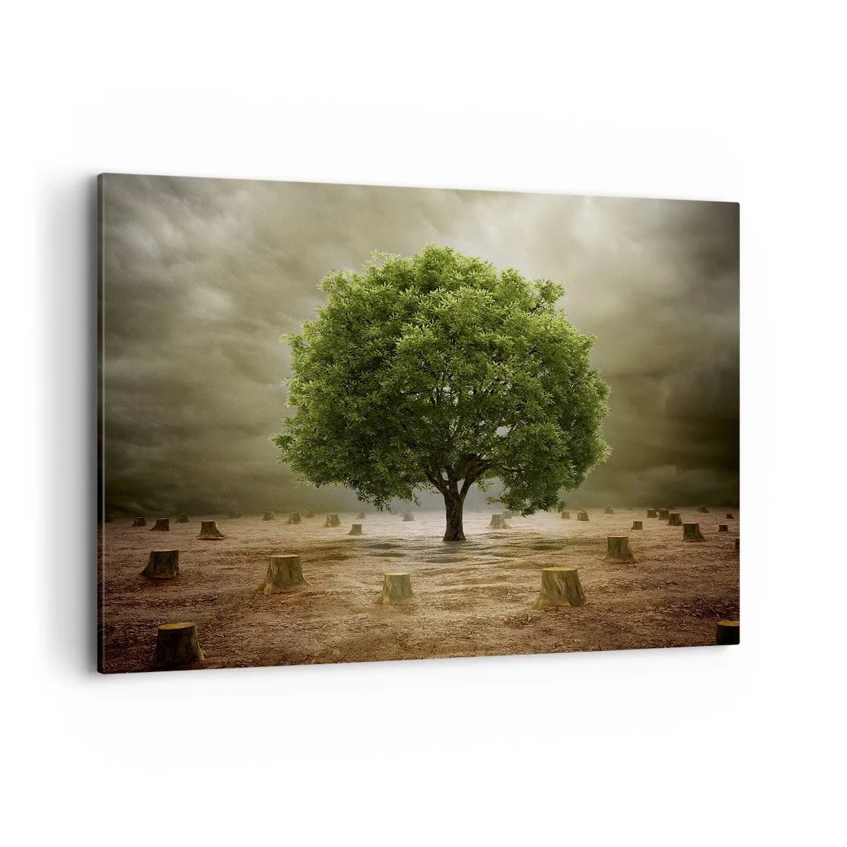 Quadro em tela - Toda a esperança - 120x80 cm