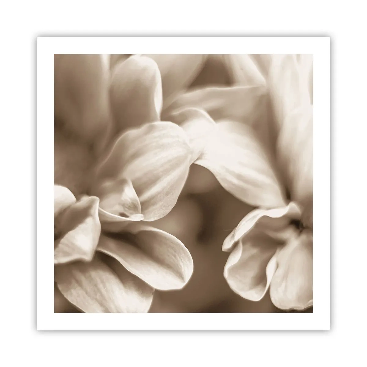 Pôster - Gentil como um sorriso - 60x60 cm