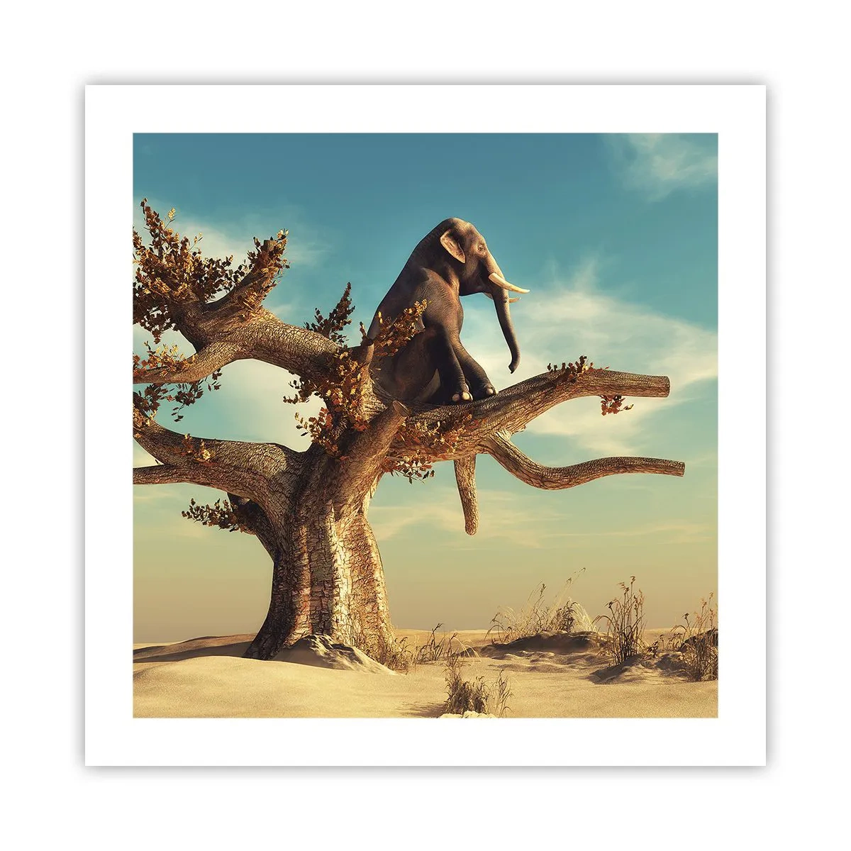 Pôster - Um novo ponto de vista - 50x50 cm