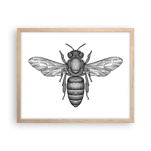 Pôster com moldura de carvalho claro - Retrato de um inseto - 50x40 cm