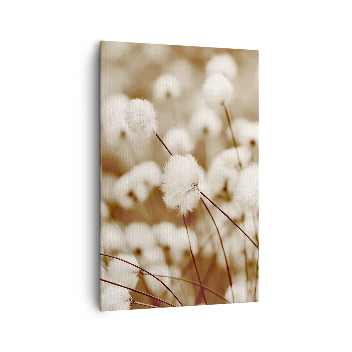 Quadro em tela - Campos felpudos - 80x120 cm