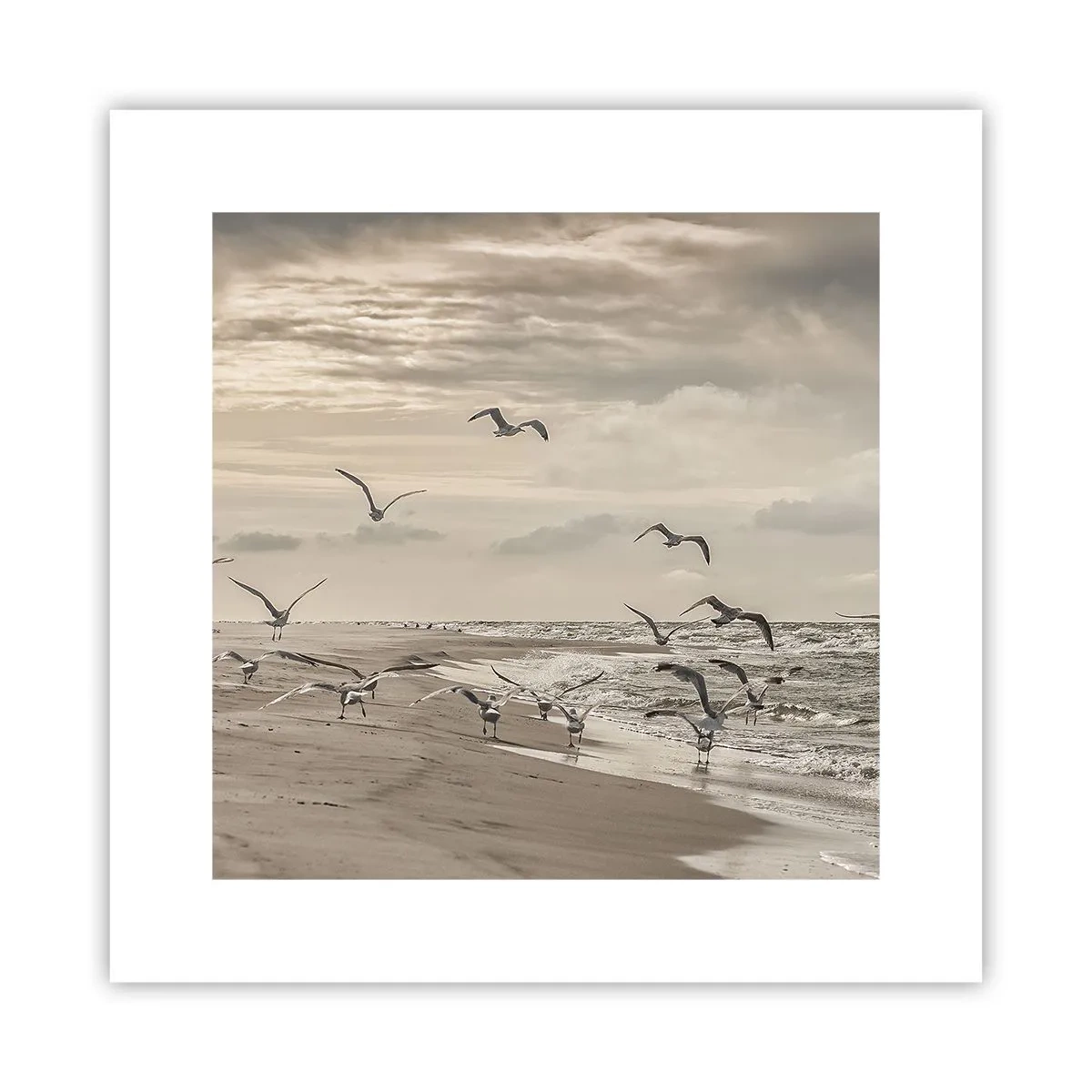 Pôster - O som do mar, o canto dos pássaros - 30x30 cm