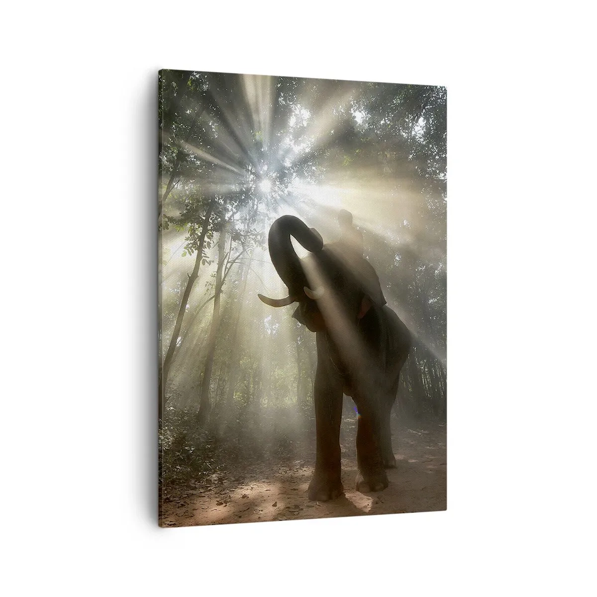 Quadro em tela - Sob a estrela da sorte - 50x70 cm