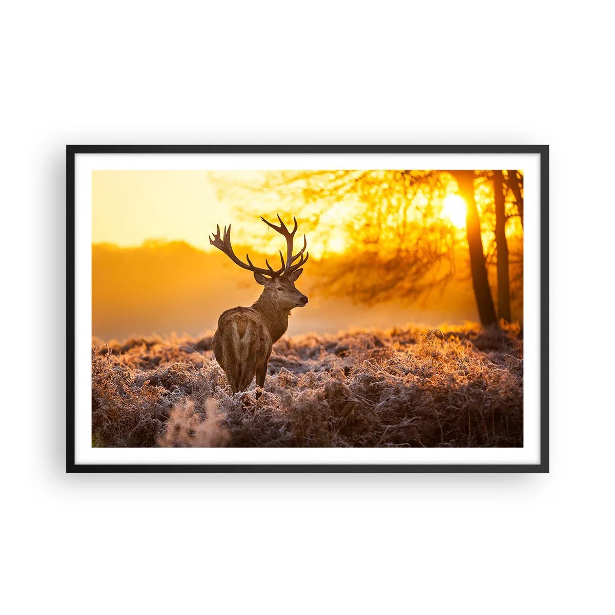 Pôster com moldura preta - Rei da floresta de outono - 91x61 cm