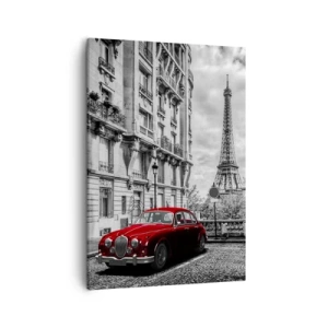 Quadro em tela - Predador na cidade - 50x70 cm