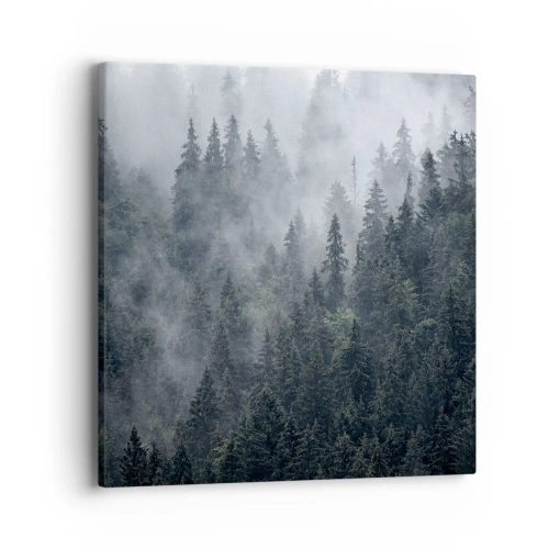 Quadro em tela - O amanhecer da floresta - 40x40 cm