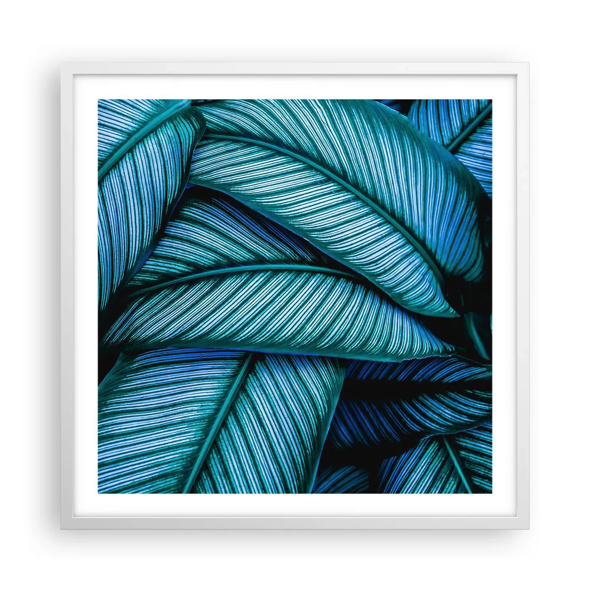 Pôster em moldura branca - Linhas de vida - 60x60 cm