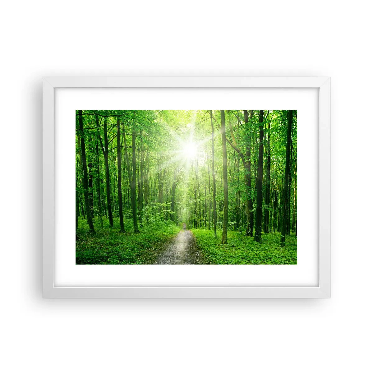 Pôster em moldura branca - Catedral Verde - 40x30 cm