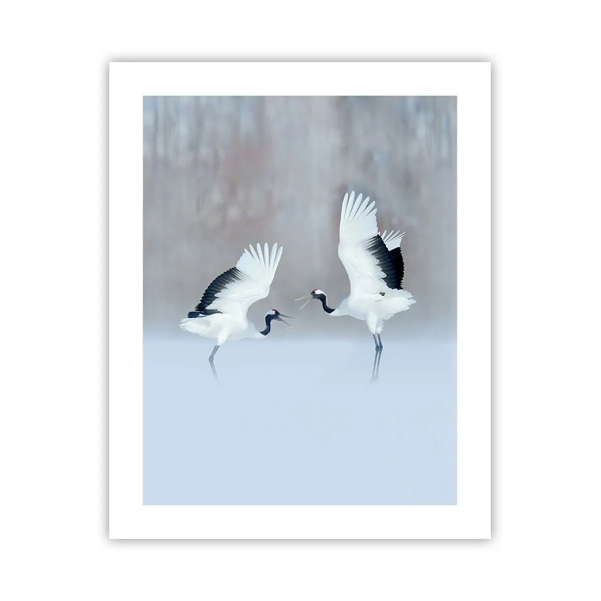 Pôster - Dança no nevoeiro - 40x50 cm