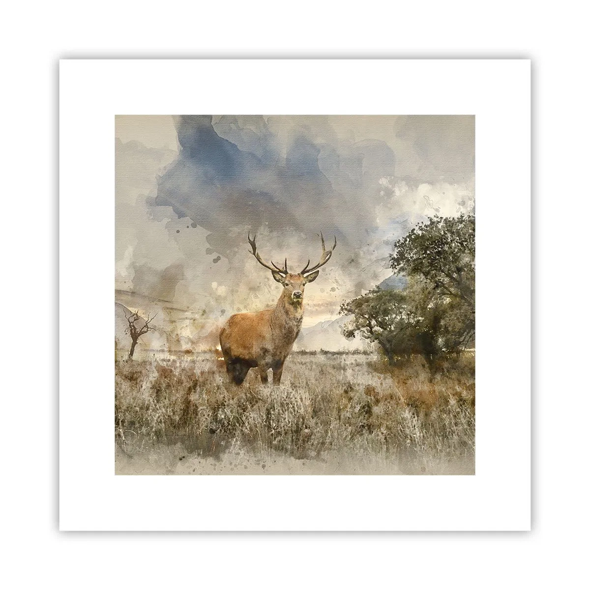 Pôster - Dignidade - força - dignidade - 30x30 cm