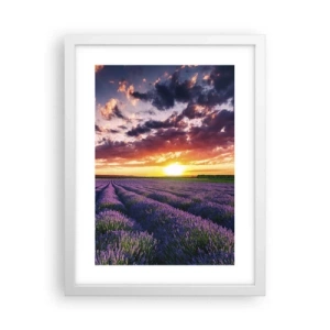 Pôster em moldura branca - O mundo da lavanda - 30x40 cm