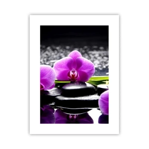 Pôster - Afogar-se na paz e sossego - 30x40 cm