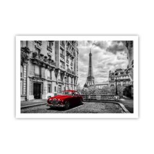 Pôster - Predador na cidade - 91x61 cm