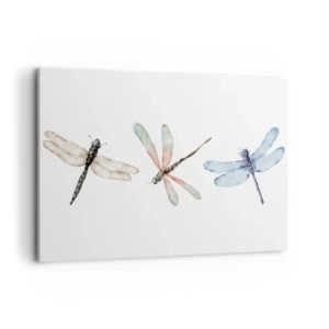 Quadro em tela - Libélulas sem peso - 100x70 cm