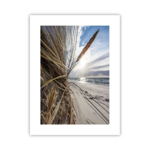 Pôster - Reunião dos rlementos da natureza - 30x40 cm