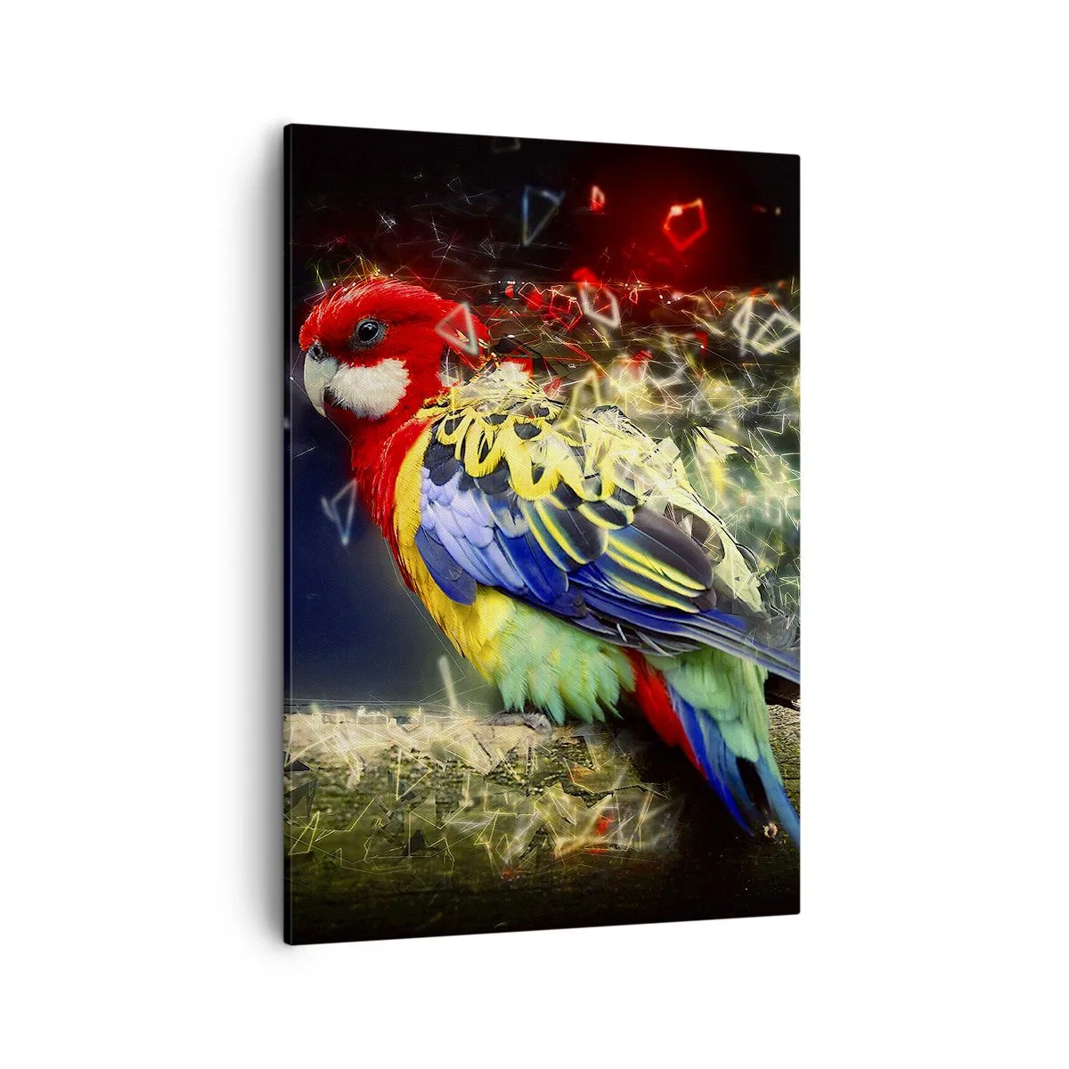 Quadro em tela - O mensageiro do Brilho - 50x70 cm