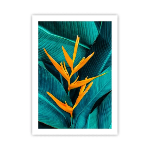 Pôster - Flor do Éden - 50x70 cm