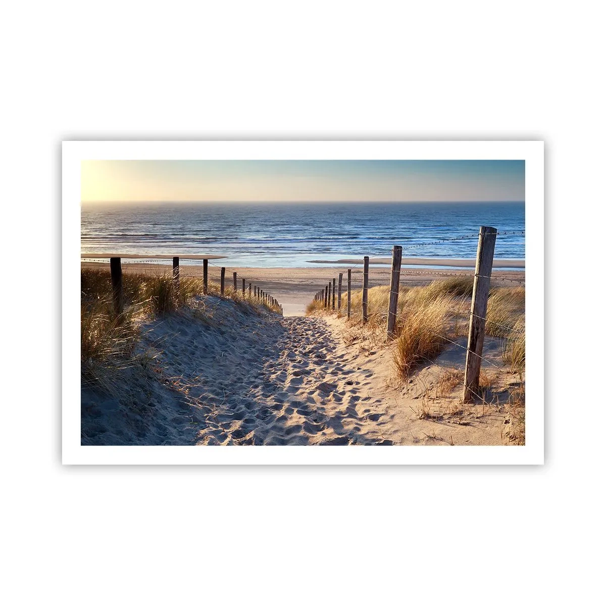 Pôster - O som do mar, o canto dos pássaros, a praia selvagem entre a relva... - 91x61 cm