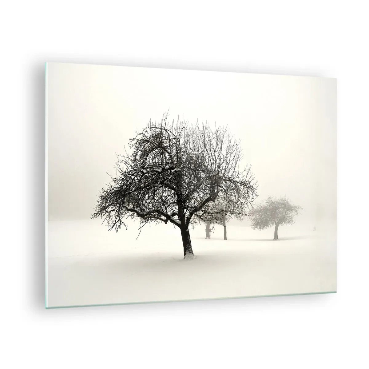 Quadro em vidro - Árvores em uma paisagem de inverno cobertas de neve e neblina - 70x50cm - Sono de inverno - Decoração de parede moderna para a sala de estar e quarto ARTTOR