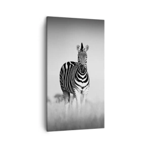 Quadro em tela - De fato, o mundo é a preto e branco - 45x80 cm