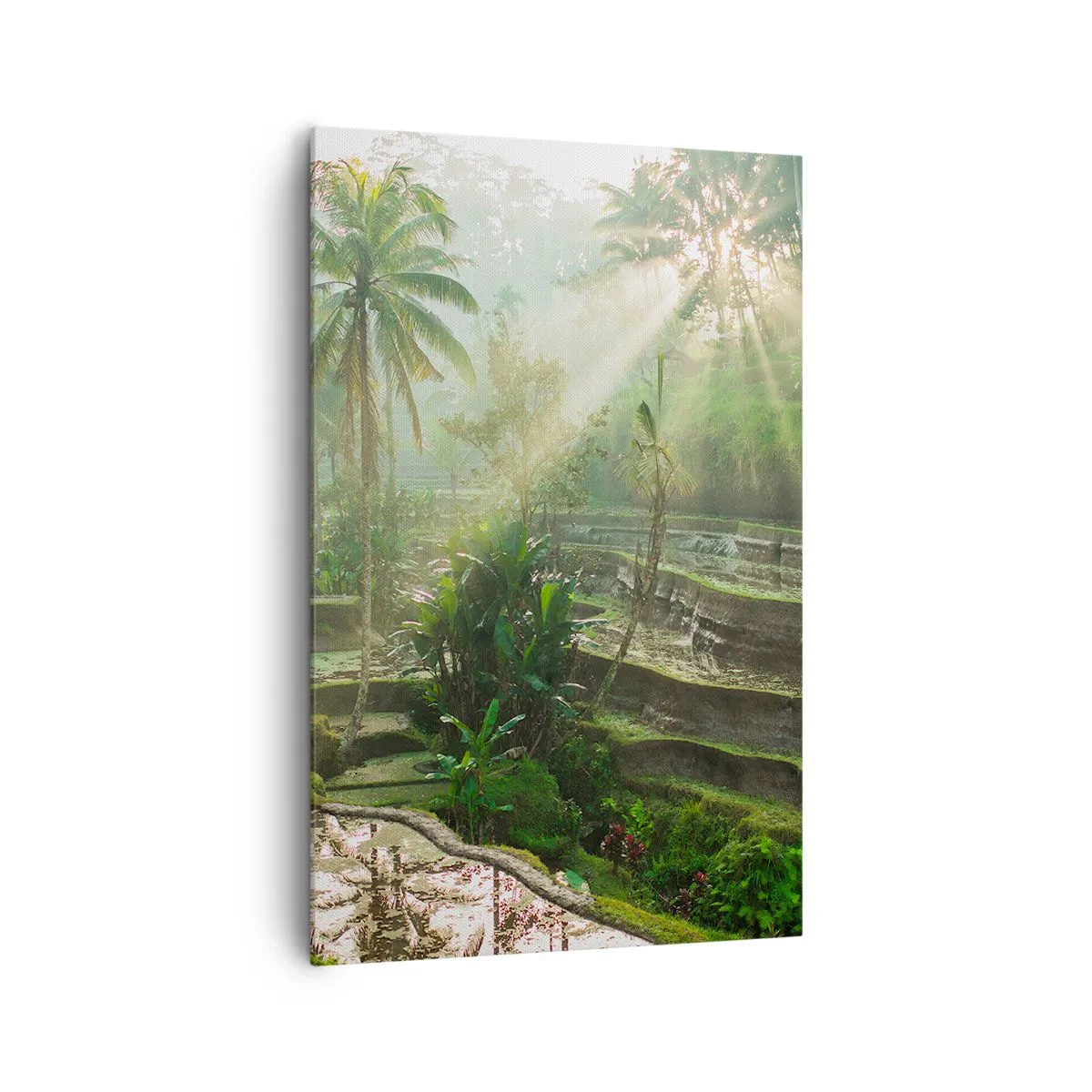 Quadro em tela - Crescer ao sol - 80x120 cm