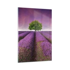 Quadro em vidro - Nos campos de lavanda - 80x120 cm