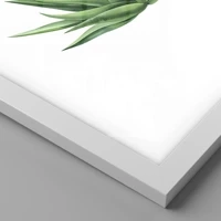 Branco