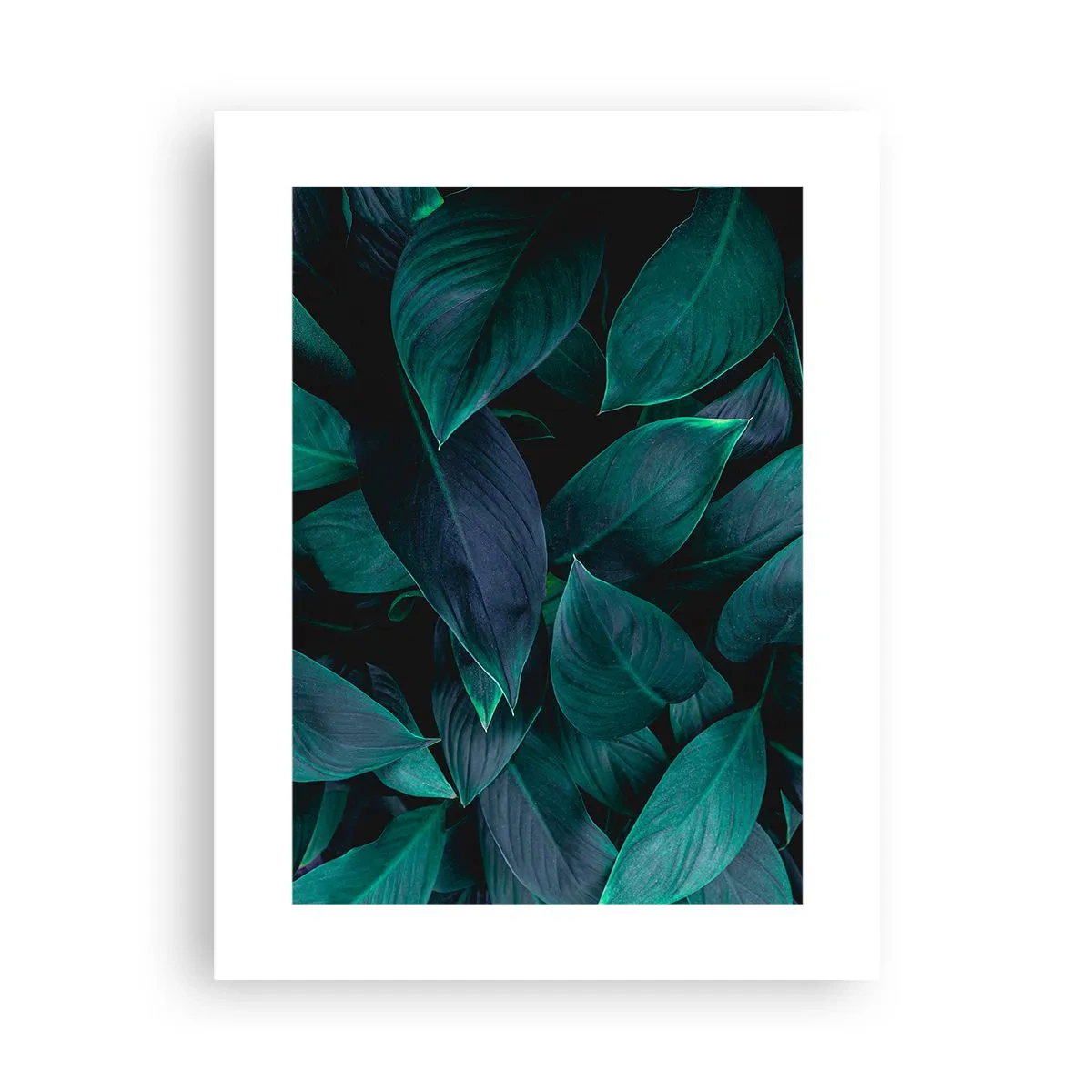 Pôster - Verde em si - 30x40 cm