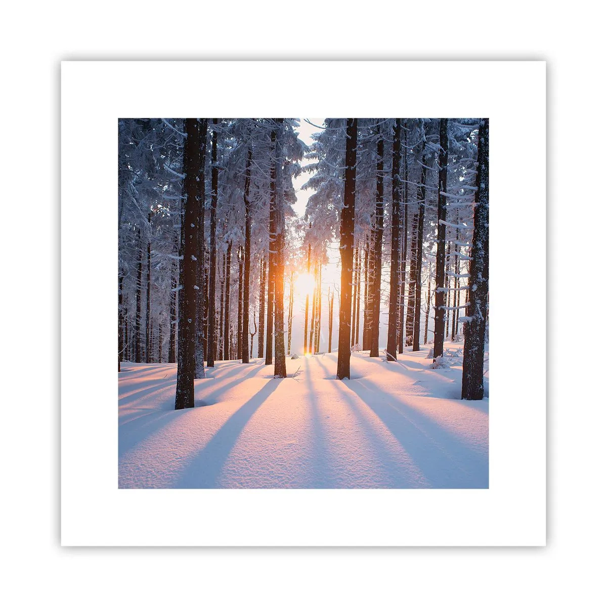 Pôster - Preto no branco - 30x30 cm