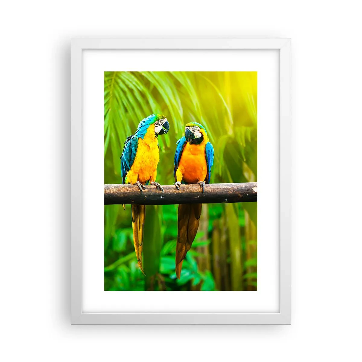 Pôster em moldura branca - E ouviste dizer que ela...? - 30x40 cm