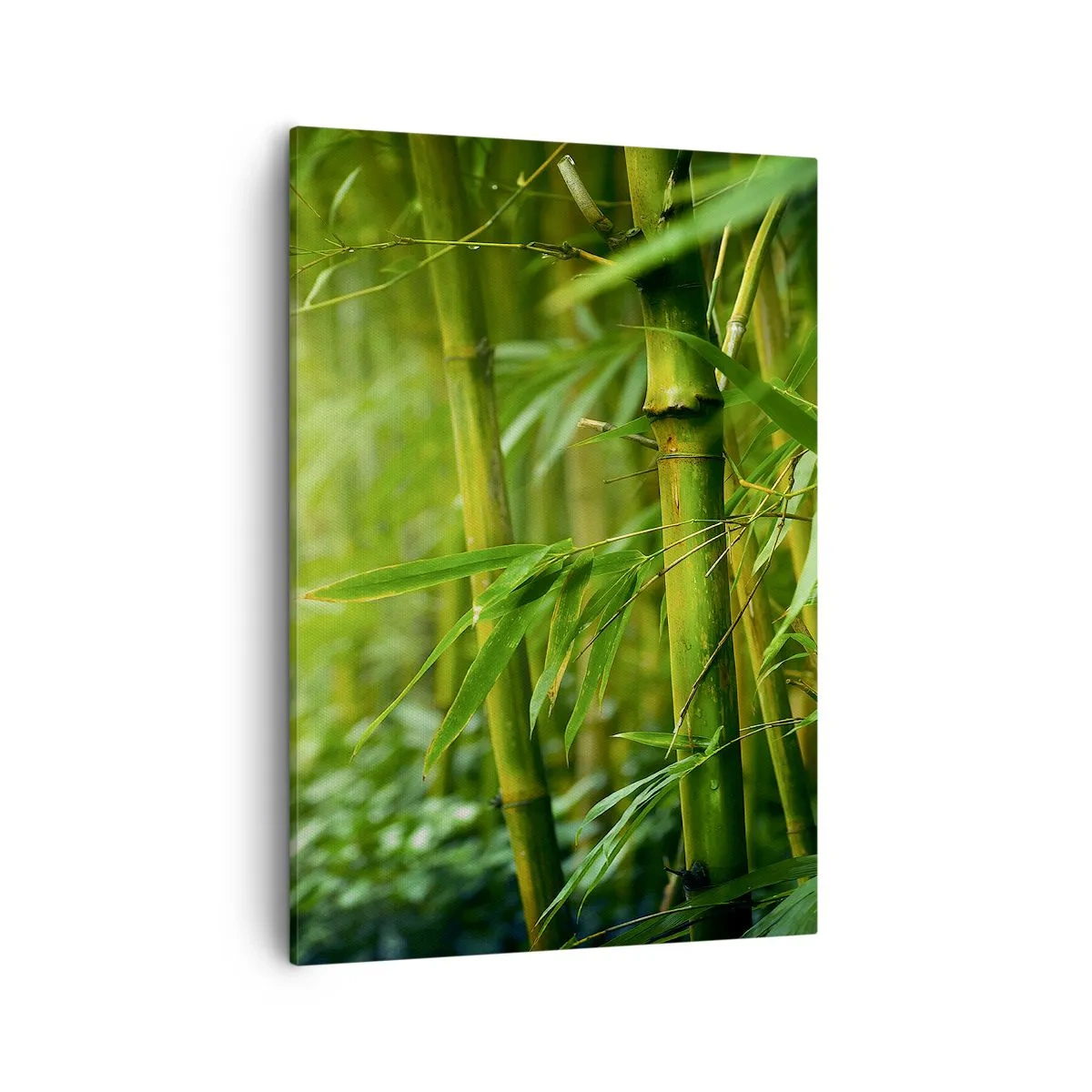 Quadro em tela - Conheça a vegetação - 50x70 cm