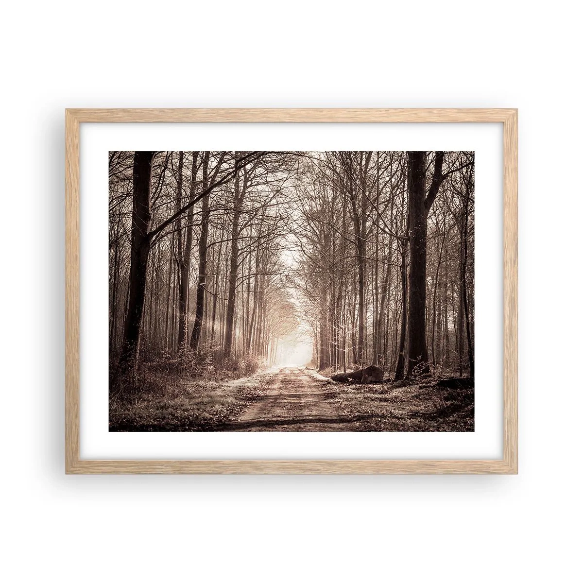 Pôster com moldura de carvalho claro - Catedral na Floresta - 50x40 cm