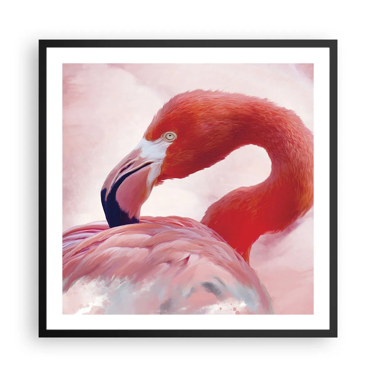 Pôster com moldura preta - Beleza das aves - 60x60 cm