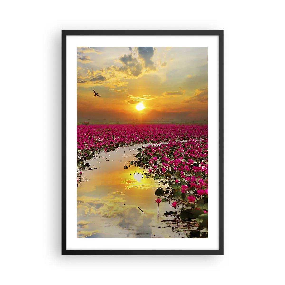 Pôster com moldura preta - Um campo de nenúfares cor-de-rosa ao pôr do sol - 50x70cm - A vida secreta do lago - Decoração de parede moderna para a sala de estar e quarto ARTTOR