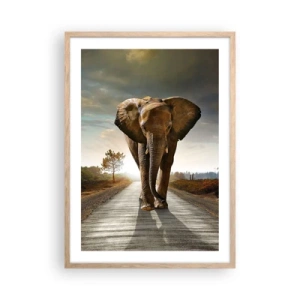 Pôster com moldura de carvalho claro - Não faz parte da composição da porcela - 50x70 cm