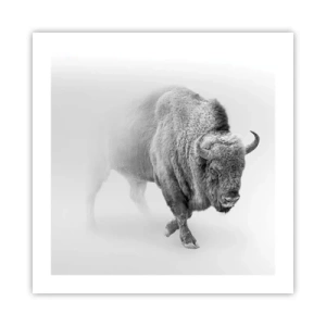 Pôster - Rei da Pradaria - 50x50 cm