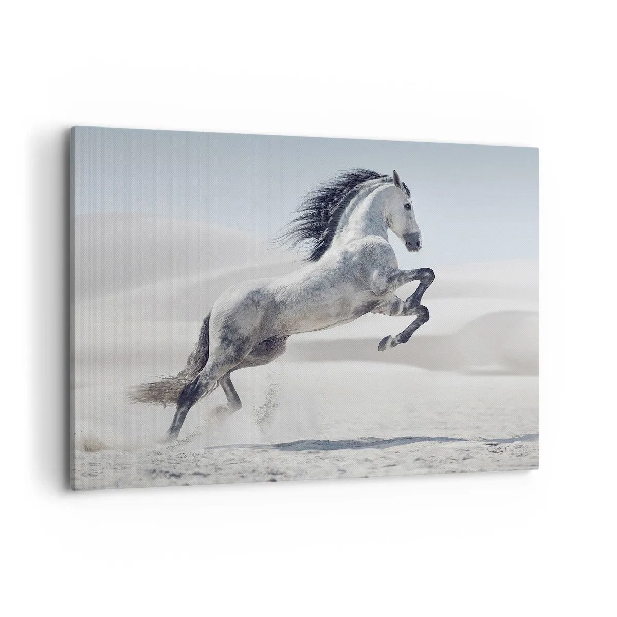 Quadro em tela - Príncipe árabe - 100x70 cm