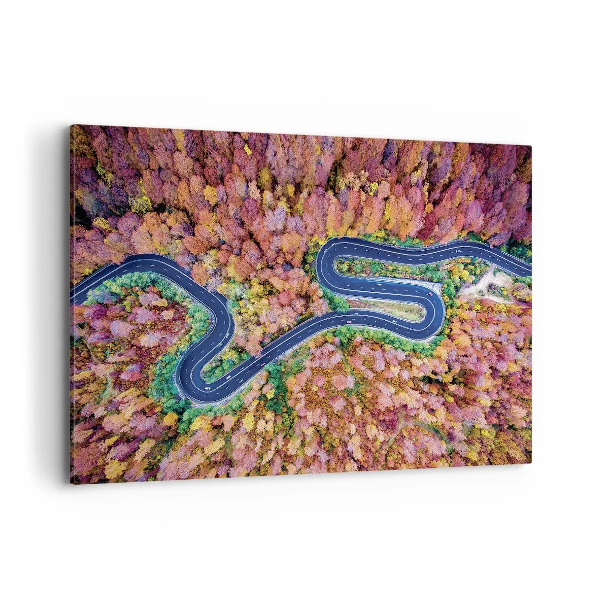 Quadro em tela - Estrada sinuosa pela floresta - 120x80 cm