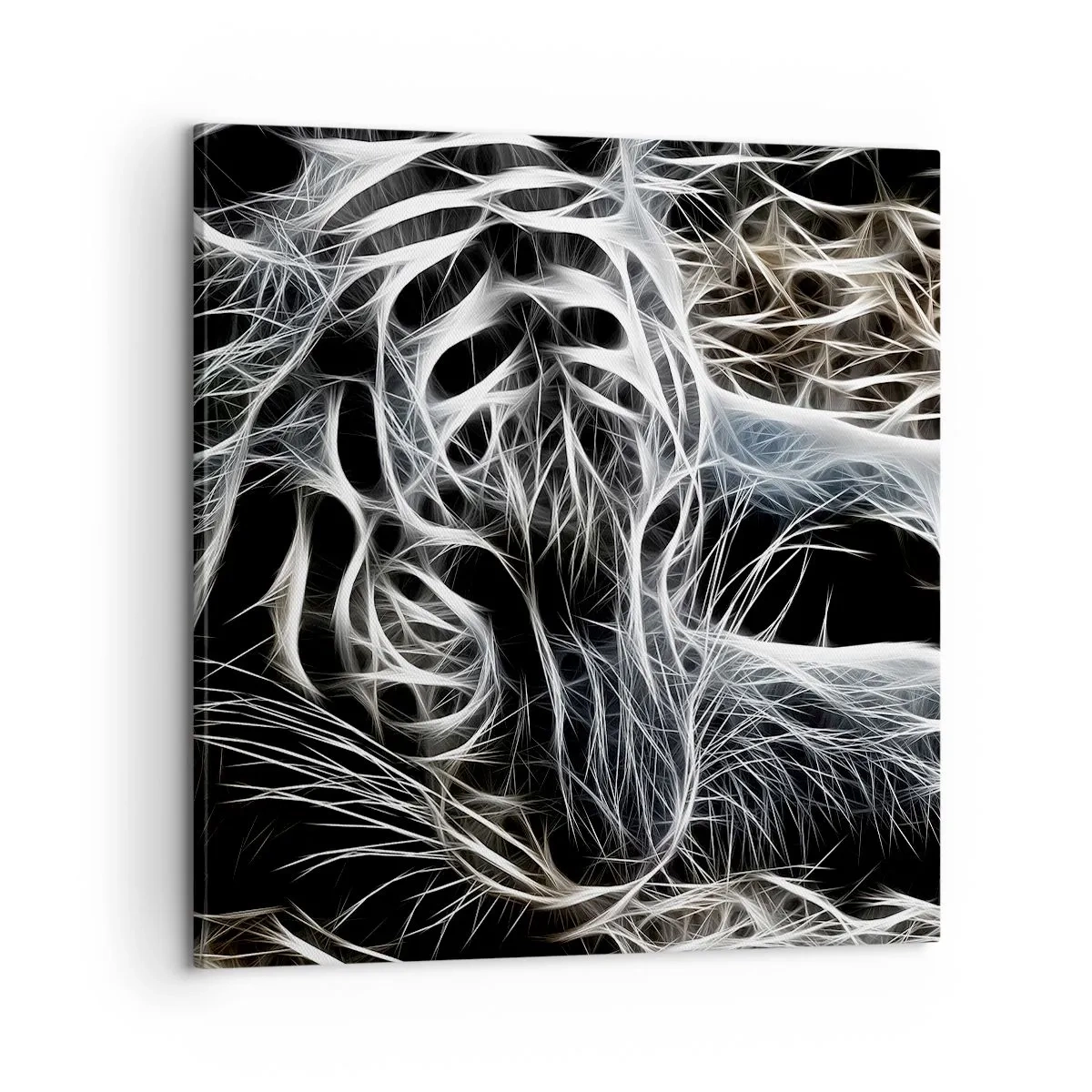 Quadro em tela - Um estudo da leveza do gato - 60x60 cm