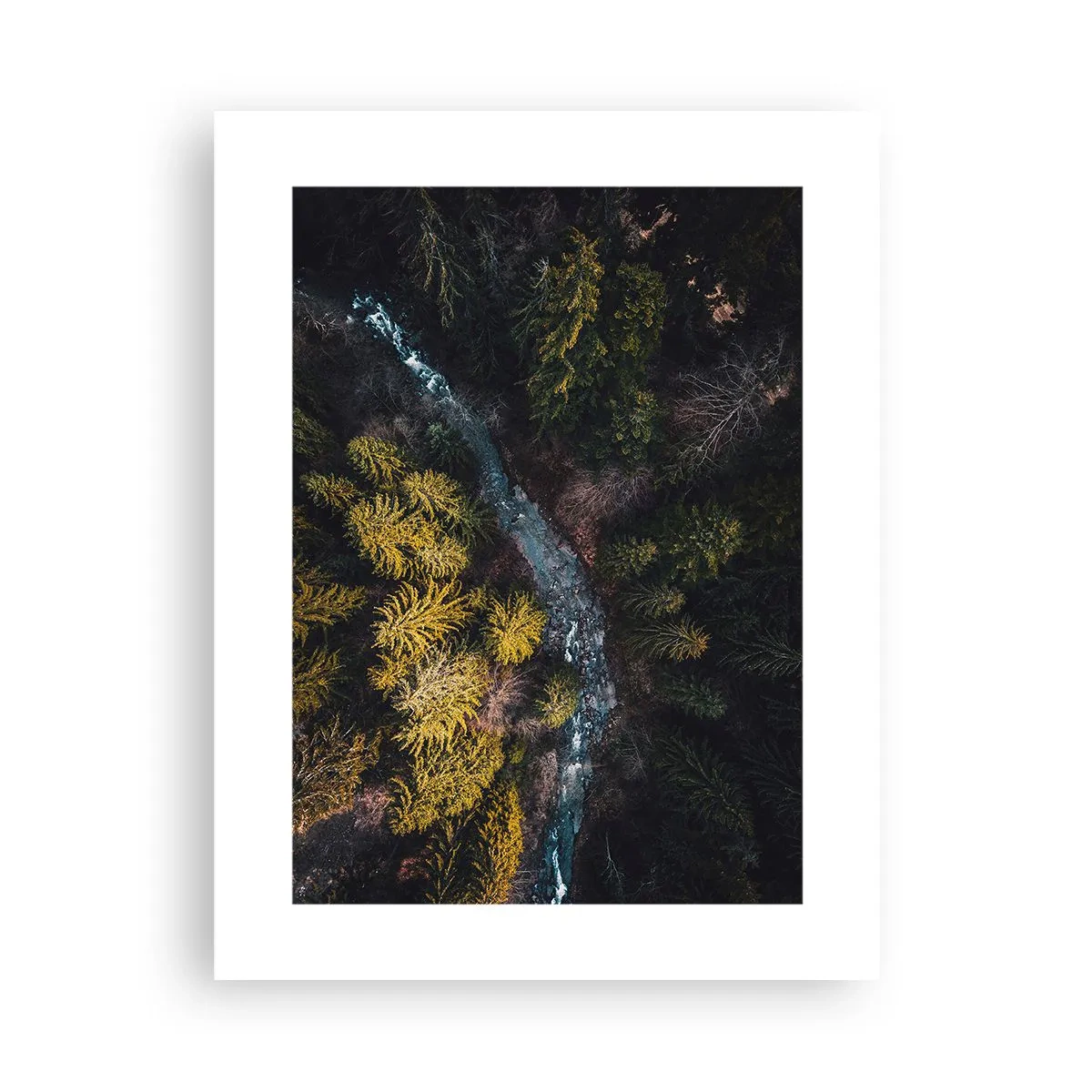 Pôster - Rápido e cada vez mais rápido - 30x40 cm