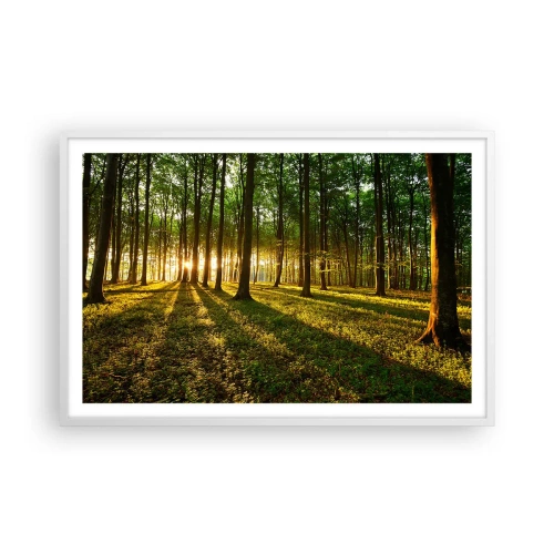 Pôster em moldura branca - Fotografia de todas as primaveras - 91x61 cm