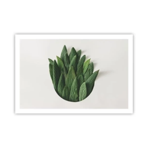 Pôster - Curiosidade indomável - 91x61 cm