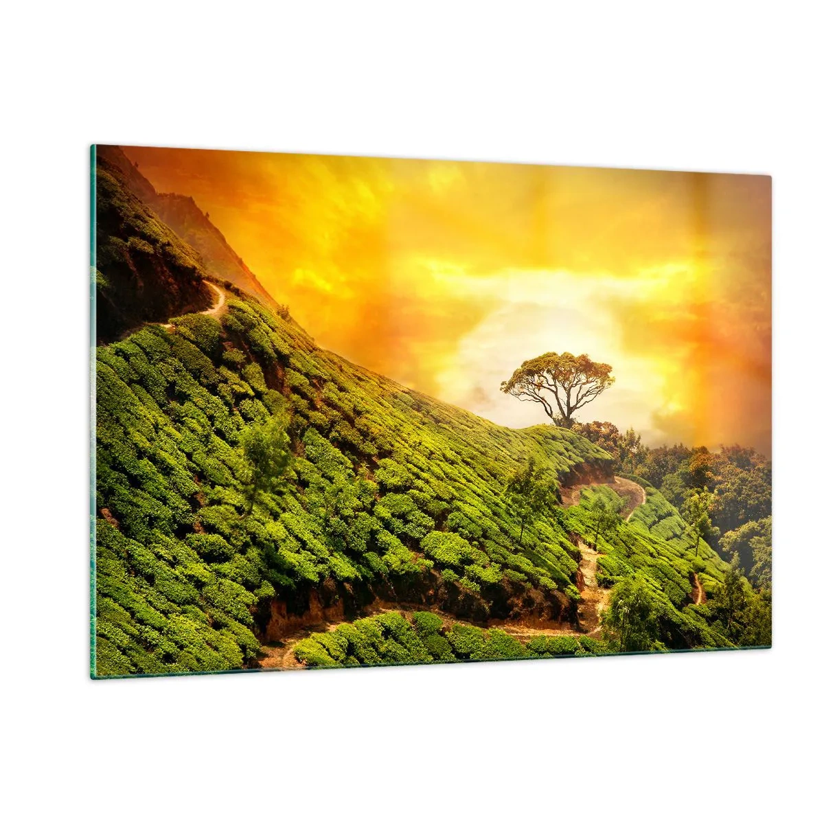 Quadro em vidro - Um caminho sinuoso, uma encosta verde - 120x80 cm