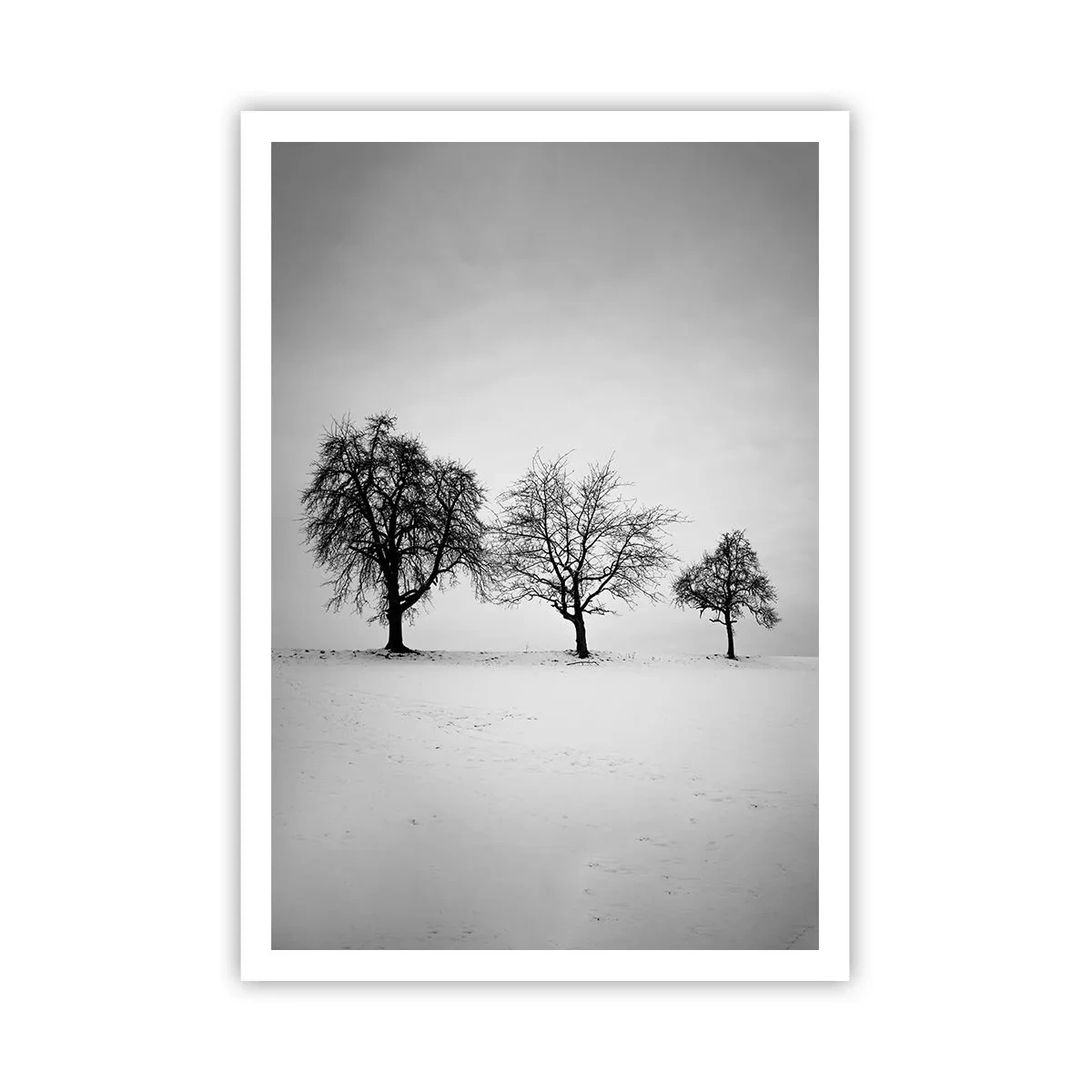 Pôster - Com que sonham elas? - 70x100 cm