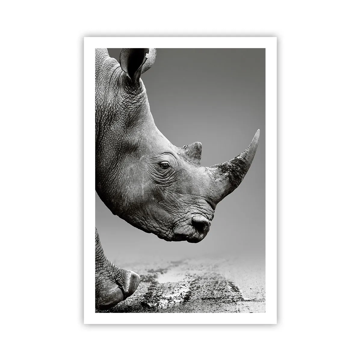 Pôster - Força imparável - 61x91 cm