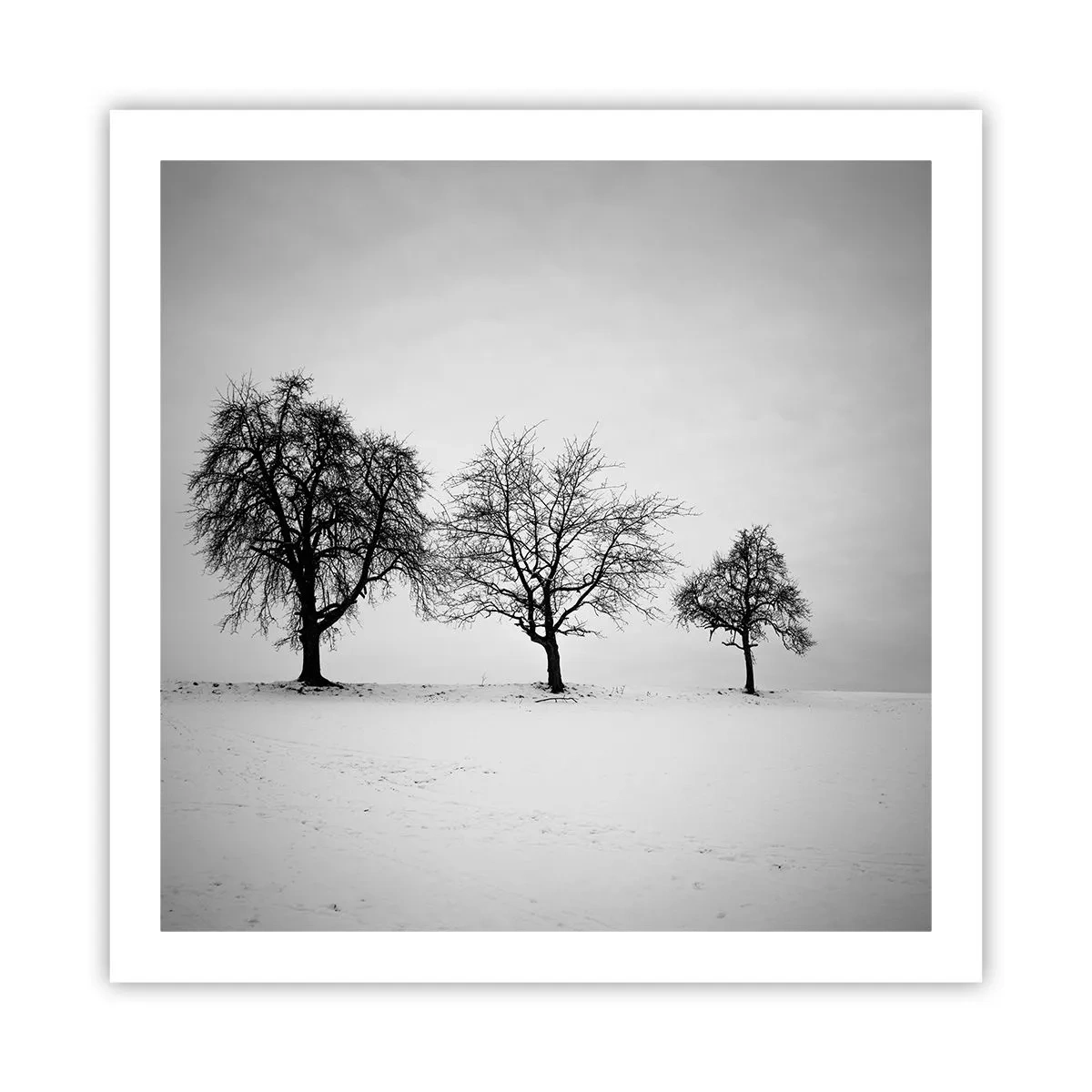 Pôster - Com que sonham elas? - 60x60 cm