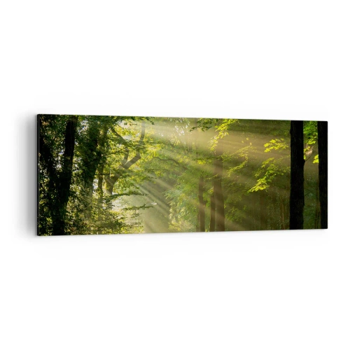 Quadro em tela - Momento florestal - 140x50 cm