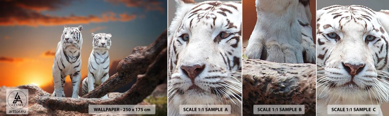 Amostra de Papel de Parede Standard Eco - Tal como em Nárnia - Animais, Tigre, Pôr do sol - 100x30 cm