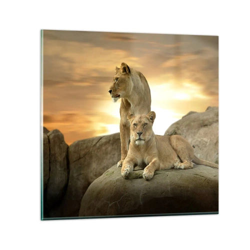 Quadro em vidro - Majestade real - 70x70 cm
